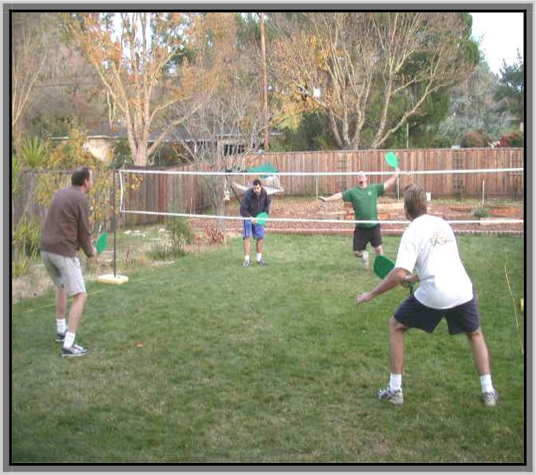 Group of People Playing Volotennis